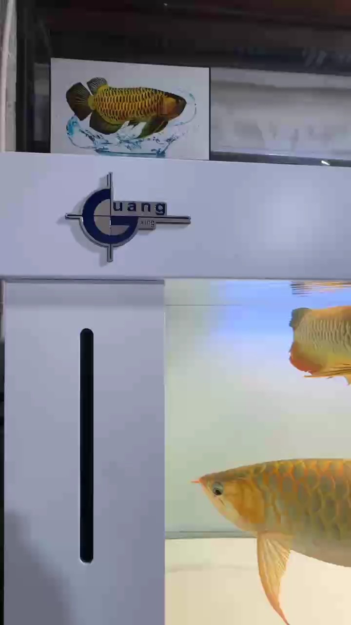 魚癡5號系統(tǒng)