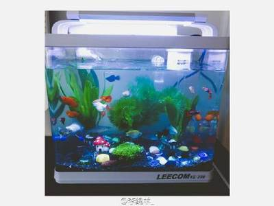 魚缸的安裝方法視頻教程圖解（魚缸的安裝方法視頻教程圖解大全）