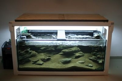便宜好看的異形魚缸