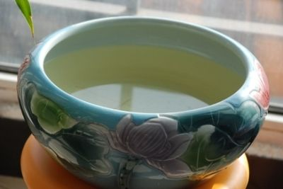 大魚缸魚便便怎么清理：如何清理大魚缸中的糞便