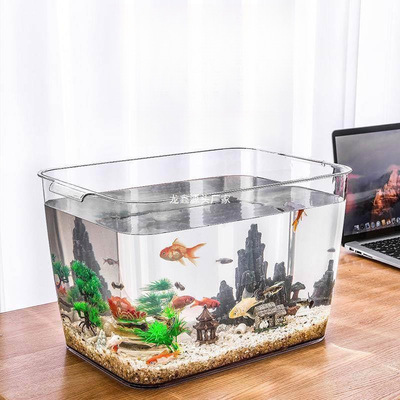 潮汕龍魚圖片大全大圖高清