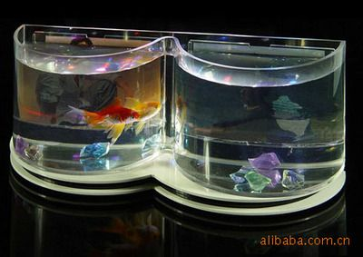 玻璃魚缸和亞克力魚缸哪個貴：亞克力魚缸和玻璃魚缸哪個好？