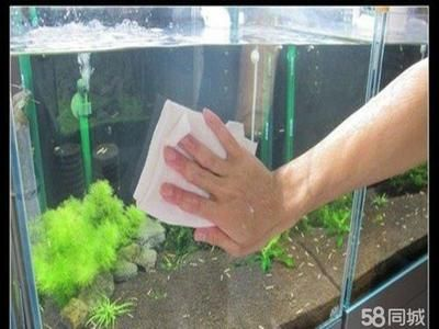 大型魚缸清洗方法：大型魚缸清洗大型魚缸的清潔工具和采取特定的步驟是什么