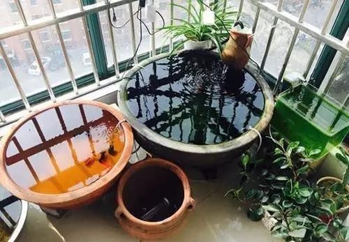 水族店魚缸擺放位置（水族店魚缸擺放位置圖）