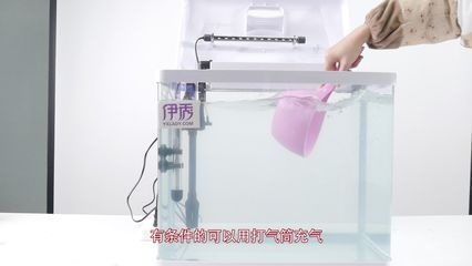打氣筒能給魚缸打氣增氧嗎：打氣筒可以在一定程度上幫助魚缸增氧嗎？