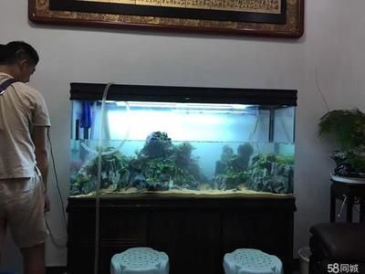 背過濾魚缸制作技術培訓：背過濾魚缸的制作技術培訓