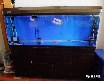 成品魚缸上蓋如何拆除：如何自制大型魚缸