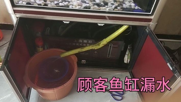 大型魚缸漏水怎么辦呢：大型魚缸漏水怎么處理大型魚缸漏水的方法和方法
