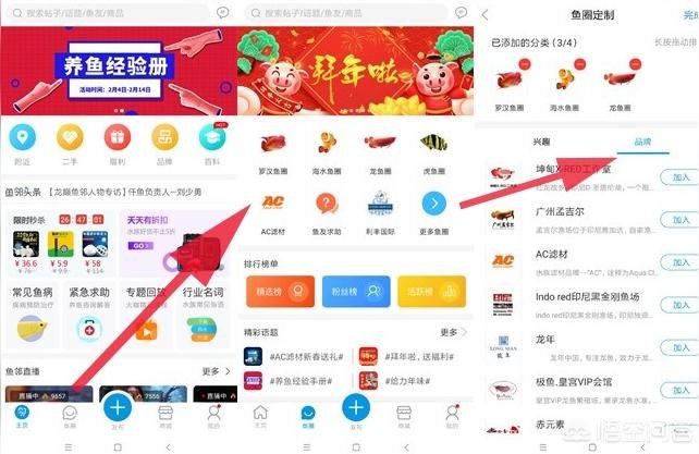 b過金龍魚爬背:金龍魚浮背是什么原因