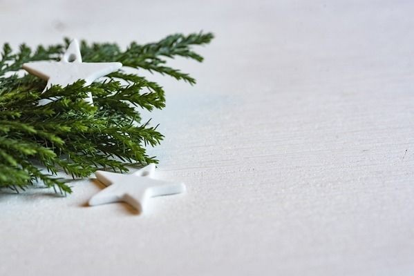 金龍魚需要增氧嗎vs祥龍魚場：祥龍魚場增氧設備對比