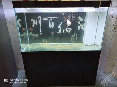 大洋魚缸算品牌嗎：“大洋魚缸”不是一個品牌