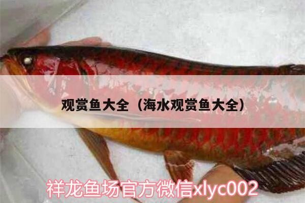 觀賞魚大全（海水觀賞魚大全） 觀賞魚大全（海水觀賞魚大全） 金龍魚百科