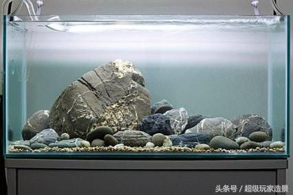 不用過濾的原生態魚缸：不用過濾器的養魚方式
