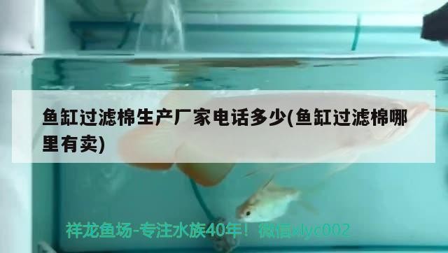魚缸過濾棉生產(chǎn)廠家電話多少(魚缸過濾棉哪里有賣)