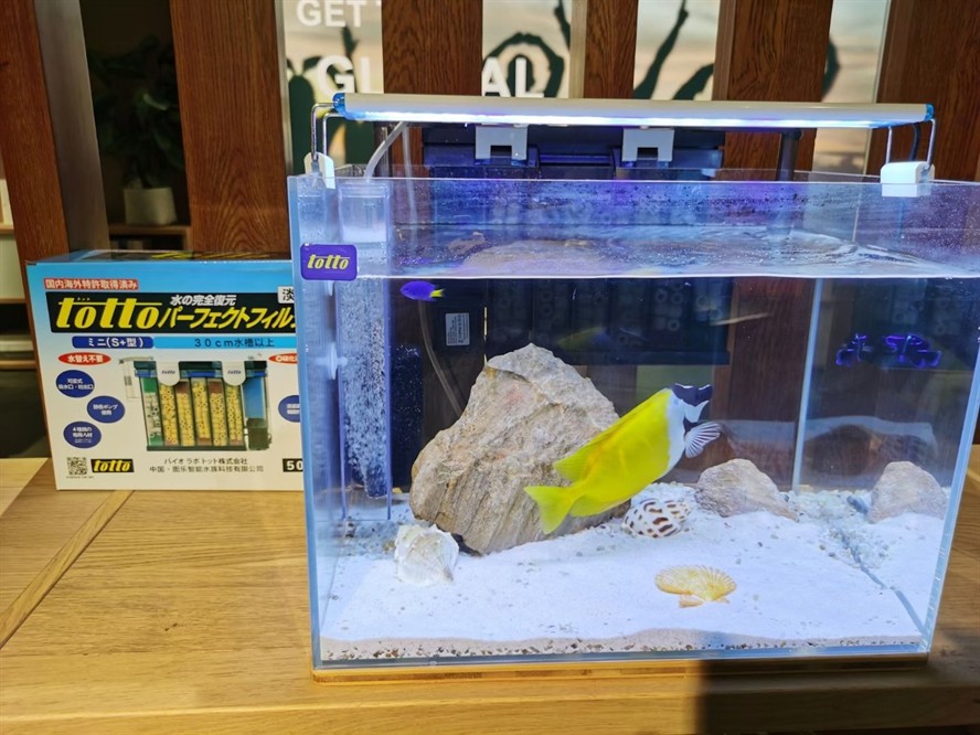 養魚順口溜