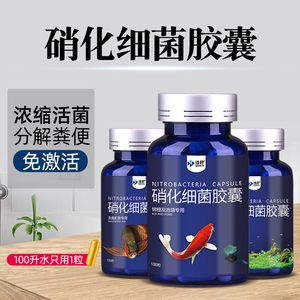 魟魚拉的糞便是綠色的：魟魚的糞便變綠是怎么回事 魟魚拉的糞便是綠色的：魟魚的糞便變綠是怎么回事 魟魚百科 第3張