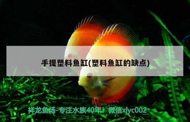 博特魚缸哪里生產的好些（博特魚缸哪里生產的好些呢）