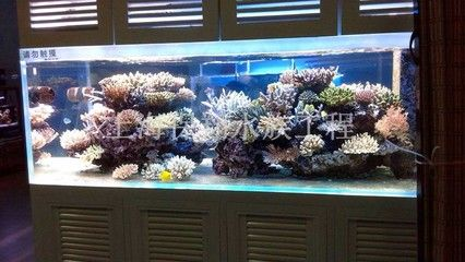 佳木斯水族館vs祥龍魚場(佳木斯水族館與祥龍魚場之間的差異之前,我們需要明確兩者的信息) 全國水族館企業(yè)名錄 第2張 佳木斯水族館vs祥龍魚場(佳木斯水族館與祥龍魚場之間的差異之前,我們需要明確兩者的信息) 佳木斯水族館vs祥龍魚場(佳木斯水族館與祥龍魚場之間的差異之前,我們需要明確兩者的信息) 全國水族館企業(yè)名錄 第2張