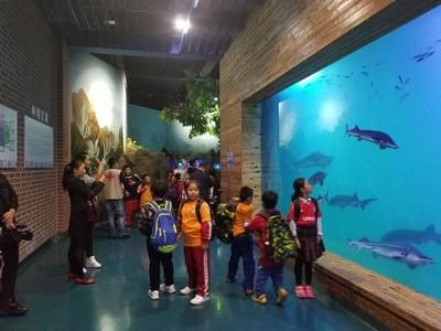 佳木斯水族館vs祥龍魚場(佳木斯水族館與祥龍魚場之間的差異之前,我們需要明確兩者的信息) 全國水族館企業(yè)名錄 第3張 佳木斯水族館vs祥龍魚場(佳木斯水族館與祥龍魚場之間的差異之前,我們需要明確兩者的信息) 佳木斯水族館vs祥龍魚場(佳木斯水族館與祥龍魚場之間的差異之前,我們需要明確兩者的信息) 全國水族館企業(yè)名錄 第3張