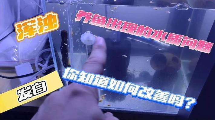 寧國市水景記時尚水族館（寧國市水景記時尚水族館電話）