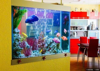大門口放魚缸風水好不好