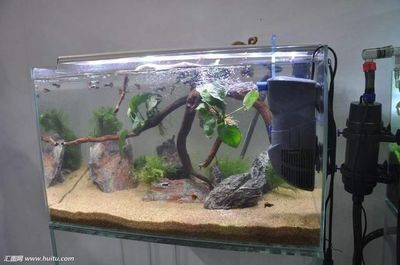 大門口放魚缸風水好不好