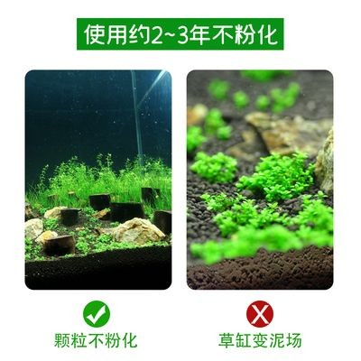 魚缸養魚常見病菌有哪些：魚缸養魚常見病菌種類及其病癥特點