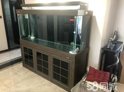 森森魚缸h2g