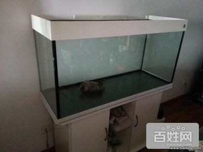 搬家搬魚缸：搬家搬家搬魚缸的注意事項在搬家過程中需要注意什么