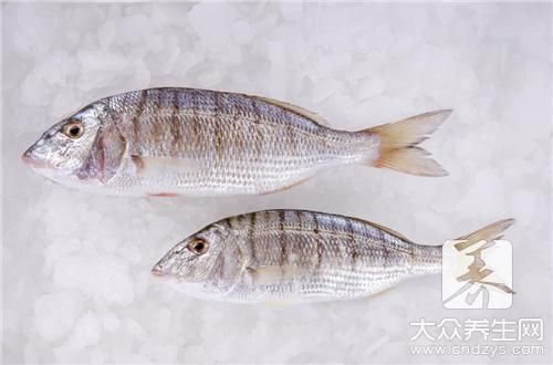 龍魚漲肚子怎么治療vs祥龍魚場：如何預防龍魚疾病 龍魚漲肚子怎么治療vs祥龍魚場：如何預防龍魚疾病 vs祥龍魚場 第1張