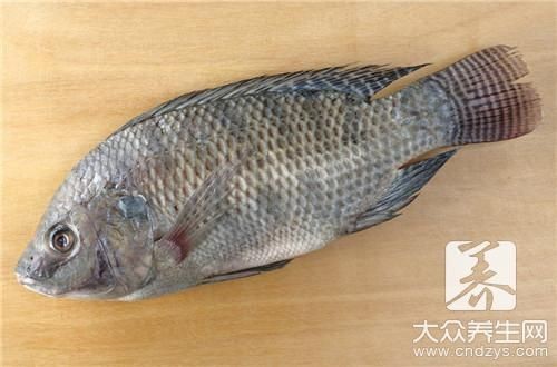 龍魚漲肚子怎么治療vs祥龍魚場：如何預防龍魚疾病 龍魚漲肚子怎么治療vs祥龍魚場：如何預防龍魚疾病 vs祥龍魚場 第2張