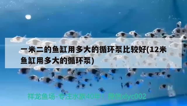 一米二的魚缸用多大的循環泵比較好(12米魚缸用多大的循環泵)