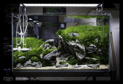 1.2米魚缸造景圖片大全 青龍石：1.2米魚缸造景圖片大全