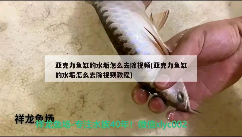 亞克力魚缸的水垢怎么去除視頻(亞克力魚缸的水垢怎么去除視頻教程)