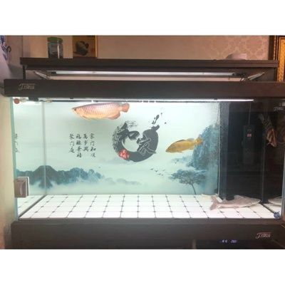 龍魚缸鋪瓷磚怎么鋪的，龍魚缸瓷磚怎么鋪