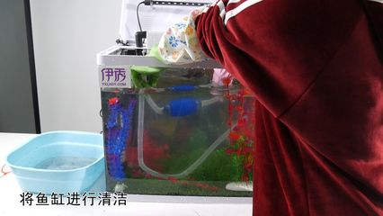 84消毒液可以給魚缸消毒嗎：84消毒液如何正確使用84消毒液消毒液的注意事項