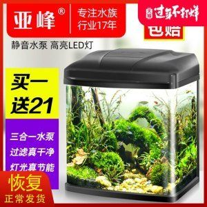 29l的魚缸養幾條魚：魚缸養魚數量的影響因素