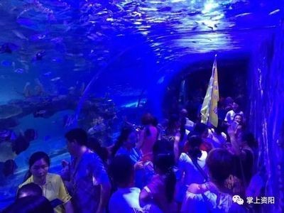 資陽(yáng)水族館vs祥龍魚場(chǎng)（資陽(yáng)市雁江區(qū)有兩個(gè)知名的水族館）