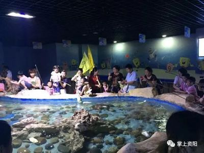 資陽(yáng)水族館vs祥龍魚場(chǎng)（資陽(yáng)市雁江區(qū)有兩個(gè)知名的水族館）