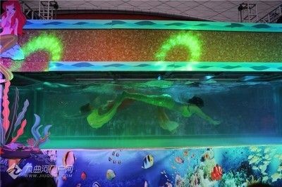 資陽(yáng)水族館vs祥龍魚場(chǎng)（資陽(yáng)市雁江區(qū)有兩個(gè)知名的水族館）