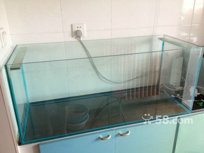 100元的魚缸：100元左右的魚缸怎么樣？