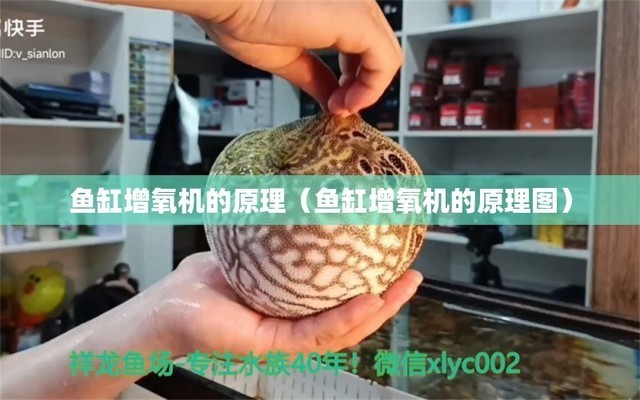 東莞萬博特科技有限公司怎么樣上班（東莞萬博特科技有限公司怎么樣上班的） 東莞萬博特科技有限公司怎么樣上班（東莞萬博特科技有限公司怎么樣上班的） 博特水族
