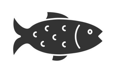 雷龍魚品種介紹圖（雷龍魚品種介紹圖片大全）