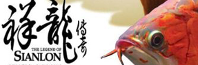 最喜歡的撈出單養(yǎng)