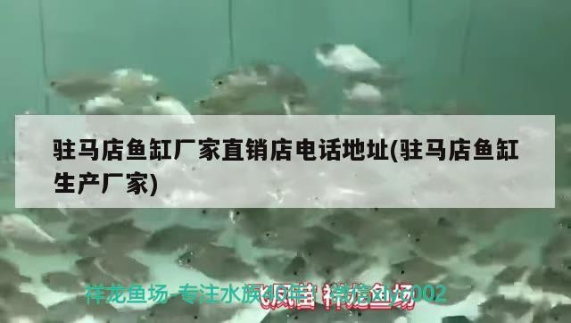 駐馬店魚缸廠家直銷店電話地址(駐馬店魚缸生產廠家)