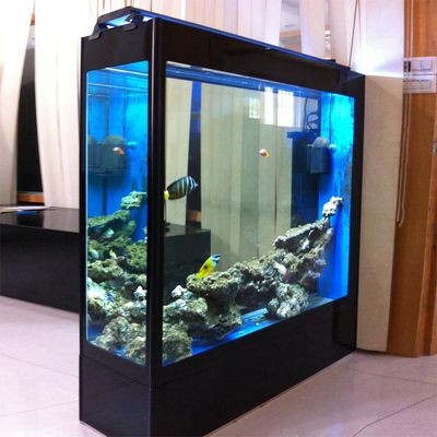 suusuu魚缸：\"suusuu魚缸 suusuu魚缸：\"suusuu魚缸 森森魚缸 第1張