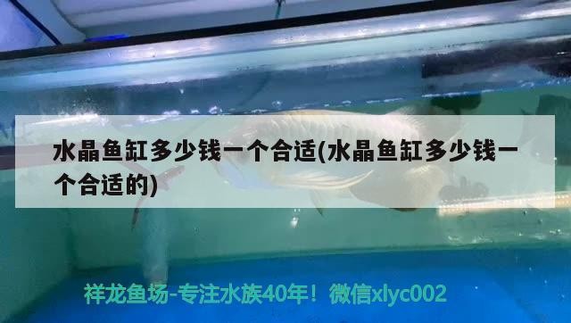 水晶魚缸多少錢一個合適(水晶魚缸多少錢一個合適的)