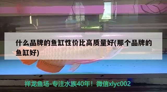 亮點水族魚缸圖片欣賞(亮點水族魚缸價格)