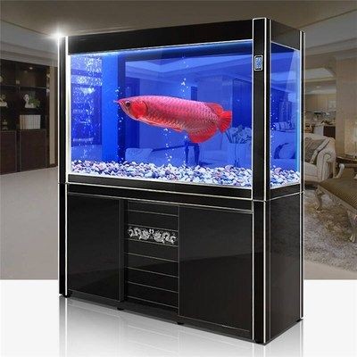 60厘米的魚缸可以養多大的錦鯉呢：60厘米的魚缸適合養什么樣的錦鯉？