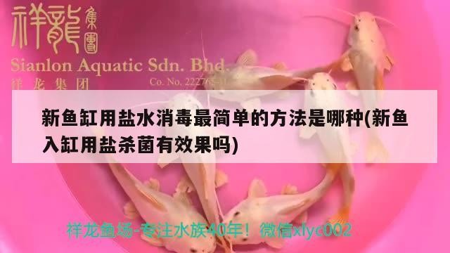 龍魚干蝦有營養(yǎng)嗎 新魚缸用鹽水消毒最簡單的方法是哪種(新魚入缸用鹽殺菌有效果嗎) 魟魚百科 新魚缸用鹽水消毒最簡單的方法是哪種(新魚入缸用鹽殺菌有效果嗎) 新魚缸用鹽水消毒最簡單的方法是哪種(新魚入缸用鹽殺菌有效果嗎) 魟魚百科